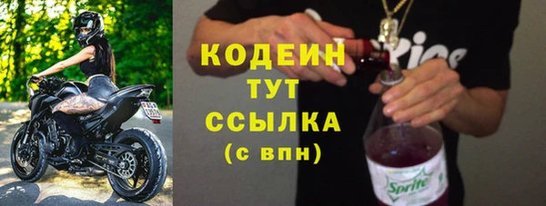 молекула духа Михайловск