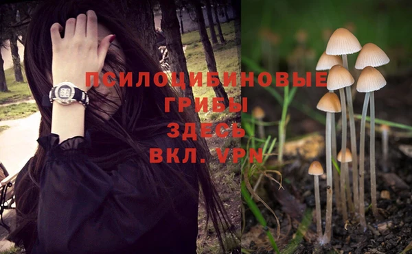 альфа пвп Михайловка