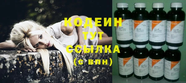 молекула духа Михайловск